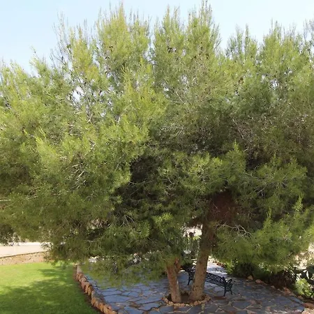 Fabulous 2 Bed On Ramblas Golf